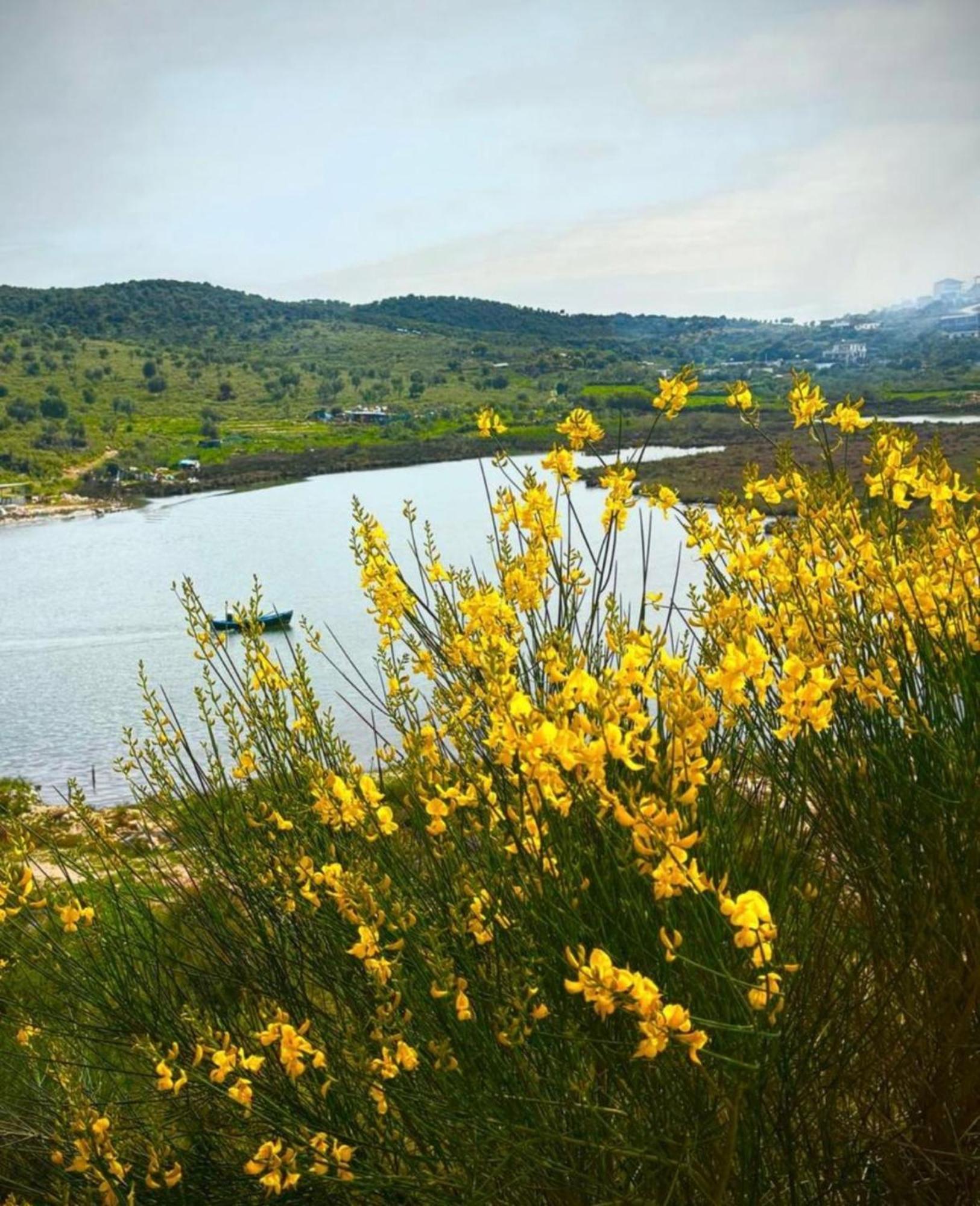 Vila Flavin 2 Ksamil Dış mekan fotoğraf