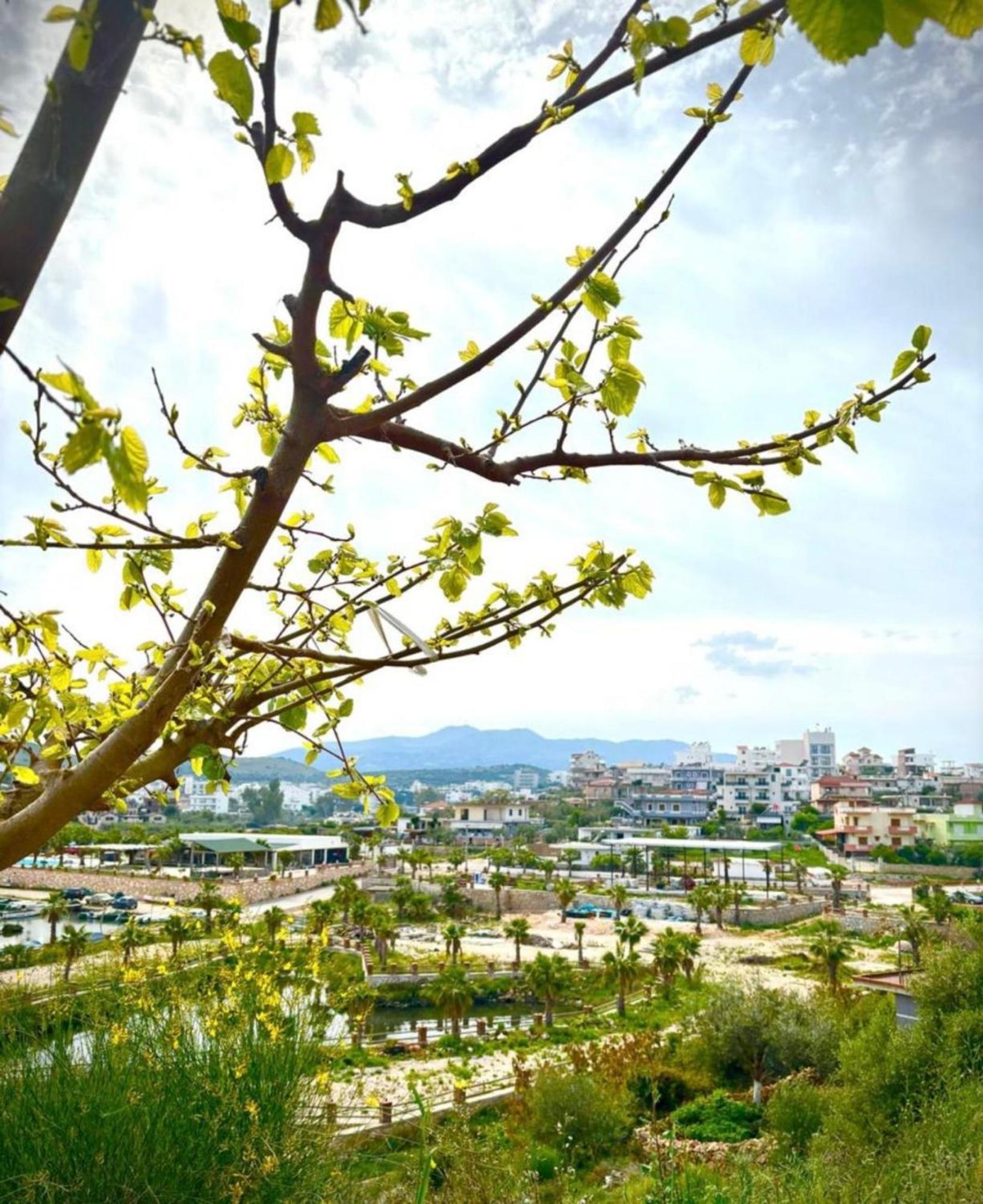 Vila Flavin 2 Ksamil Dış mekan fotoğraf